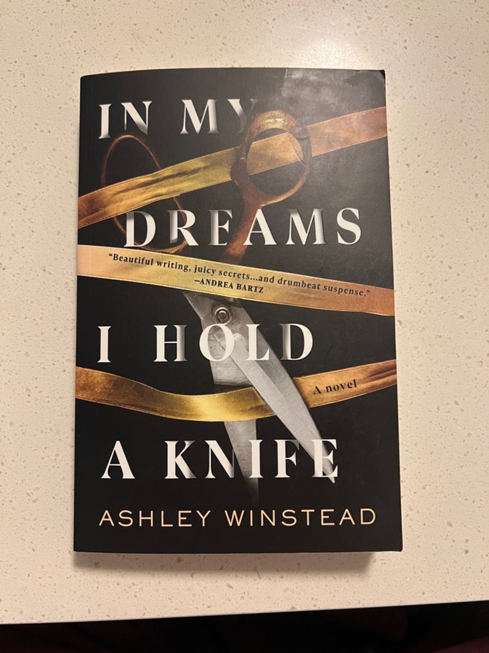 In My Dreams I Hold a Knife by Ashley Winstead